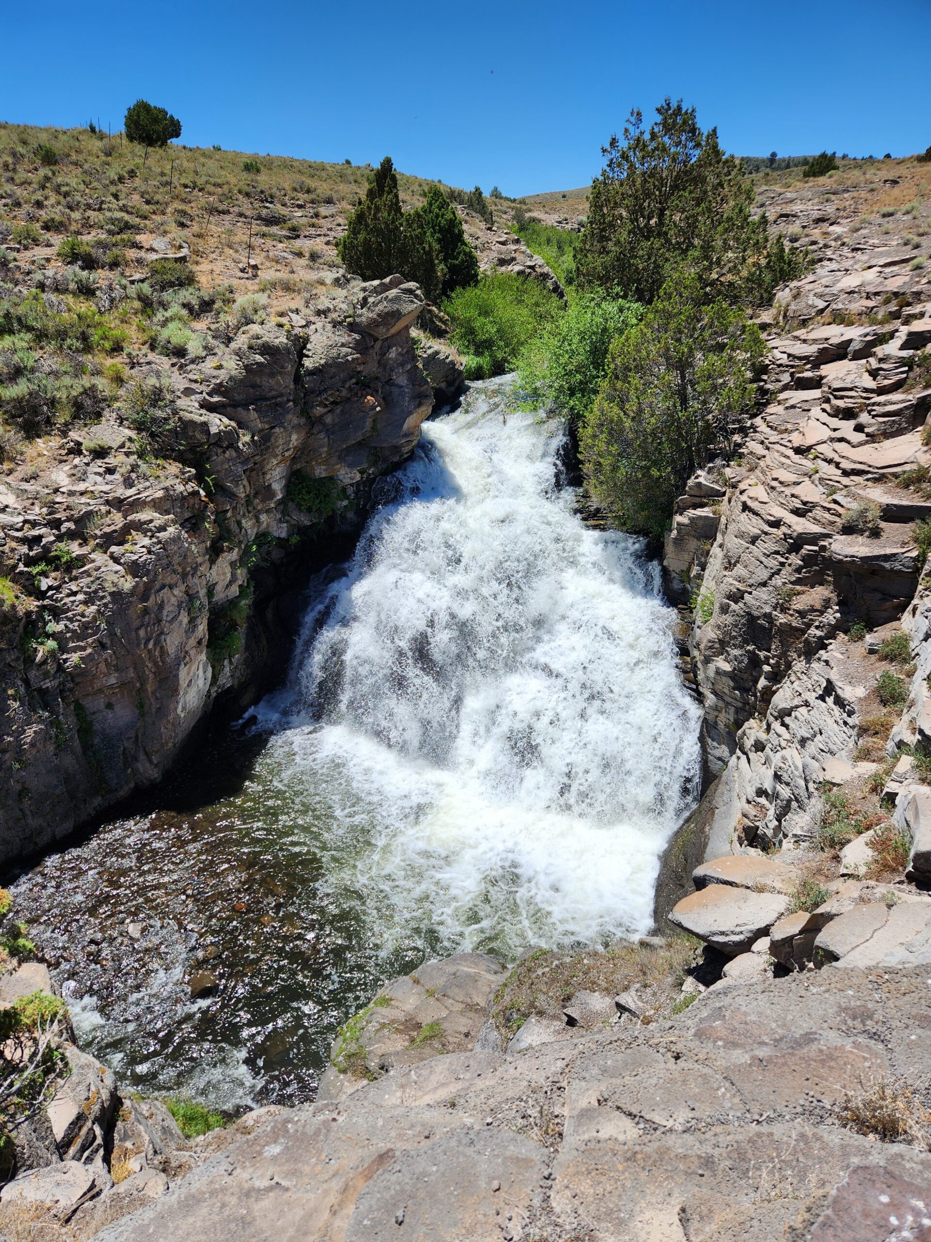 Ipson Creek – Panguitch Lake – July 6, 2024