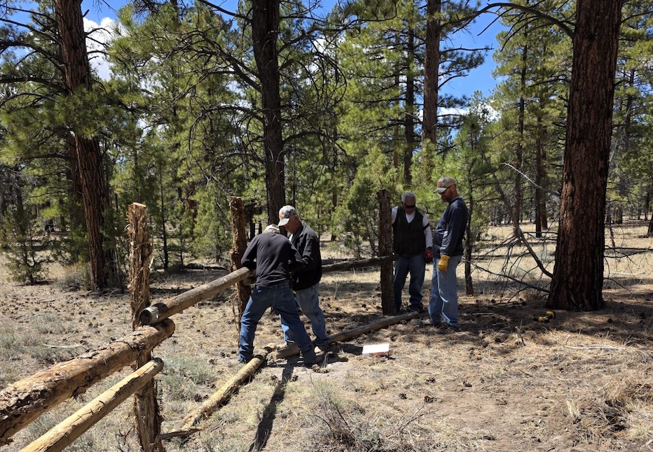 Volunteer Activities in 2025