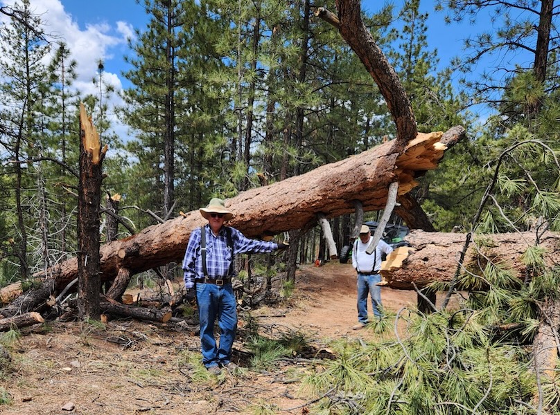 Volunteer Activities in 2024