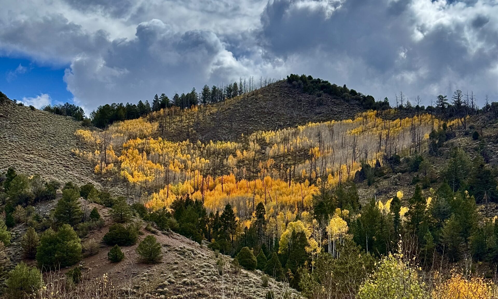 Limekiln, West Hunt, Center Creek Ride – Oct. 4th, 2025